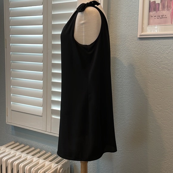 1. State V-neck shift dress with ties at shoulders. Lined. Size Medium - Picture 7 of 9